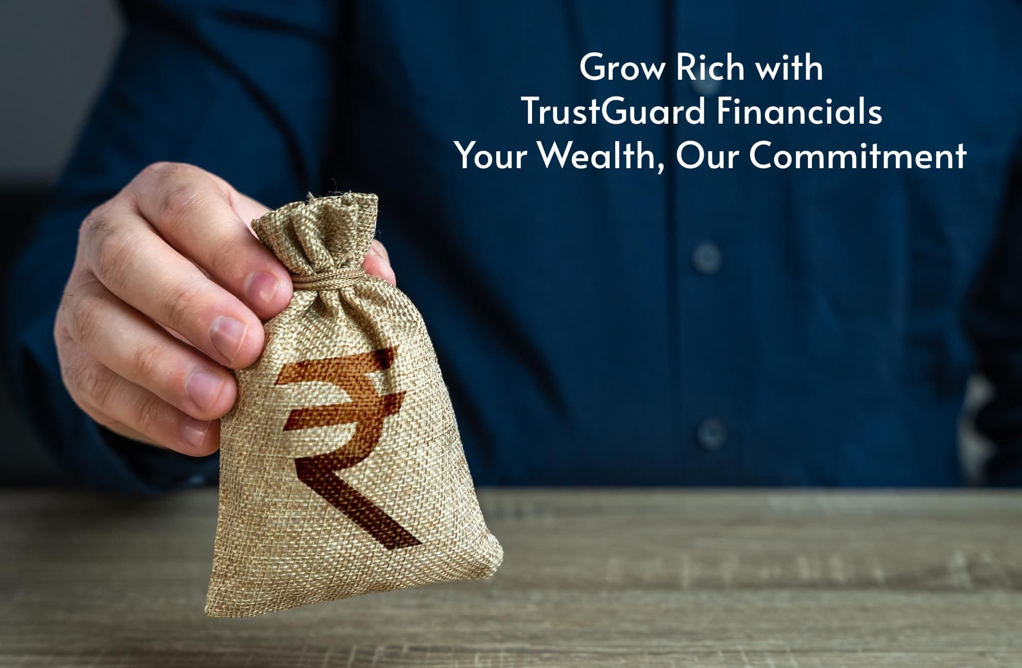 TrustGuard Financials